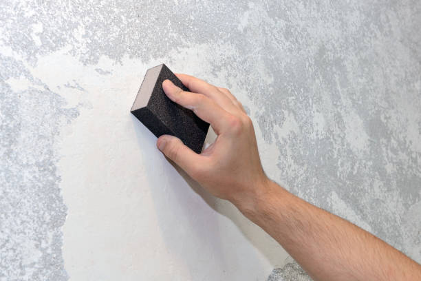 Best Post-Construction Mold Inspection  in St Marys, OH