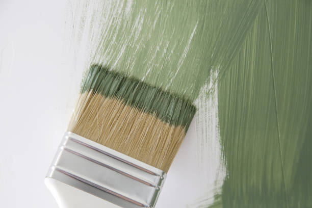  St Marys, OH Mold Removal Pros