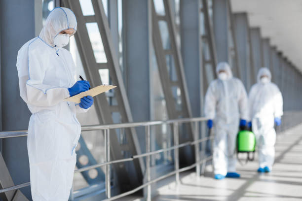 Best Mold Remediation for Healthcare Facilities  in St Marys, OH