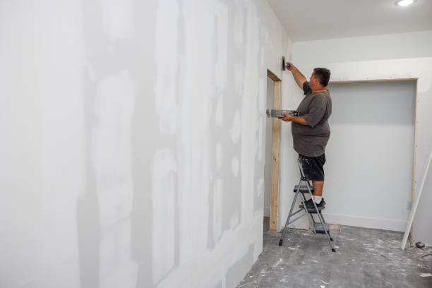 Best Comprehensive Air Testing for Mold Contaminants  in St Marys, OH
